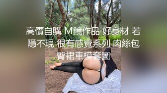 高價自購 M鏡作品 好身材 若隱不現 很有感覺系列 肉絲包臀裙車模套圖