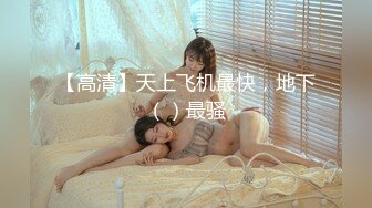 【高清】天上飞机最快，地下（）最骚