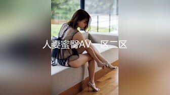 人妻蜜臀AV一区二区