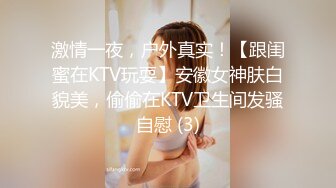 激情一夜，户外真实！【跟闺蜜在KTV玩耍】安徽女神肤白貌美，偷偷在KTV卫生间发骚自慰 (3)