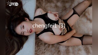 chengfei1 (3)