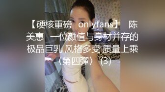 【硬核重磅✨onlyfans】⭐陈美惠⭐一位颜值与身材并存的极品巨乳 风格多变 质量上乘〈第四彈〉 (3)