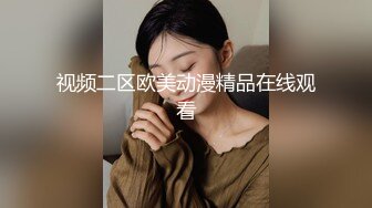 视频二区欧美动漫精品在线观看