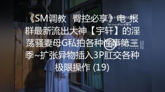 《SM调教✅臀控必享》电_报群最新流出大神【宇轩】的淫荡骚妻母G私拍各种性事第三季~扩张异物插入3P肛交各种极限操作 (19)