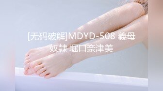 [无码破解]MDYD-508 義母奴隷 堀口奈津美