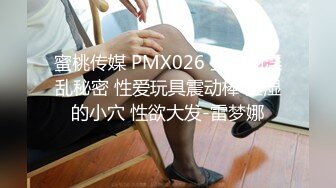 蜜桃传媒 PMX026 空姐的淫乱秘密 性爱玩具震动棒 湿湿的小穴 性欲大发-雷梦娜