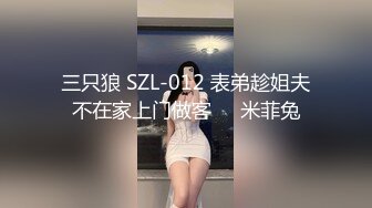 三只狼 SZL-012 表弟趁姐夫不在家上门做客❤️米菲兔