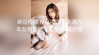 麻豆传媒 MD-0265 丰满汽车女销售的车震推销-莫夕慈