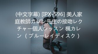 (中文字幕) [IPX-596] 美人家庭教師カレン先生の接吻レクチャー個人レッスン 楓カレン （ブルーレイディスク）