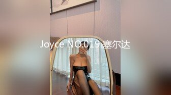 Joyce NO.019 塞尔达