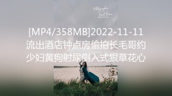 [MP4/358MB]2022-11-11流出酒店钟点房偷拍长毛哥约少妇黄狗射尿侧入式狠草花心