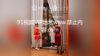 91视频VIP地址www.禁止内容.com